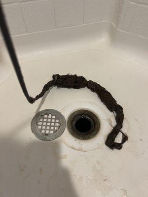 Removed Hair From A Clogged Shower.