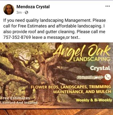 Angel Oak Landscaping