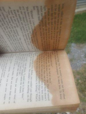 Rat pee on books.