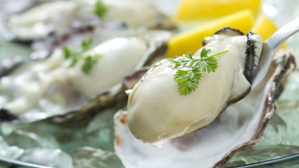 Freshly shucked pacific oysters on the half-shell