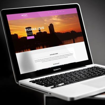 Website Design