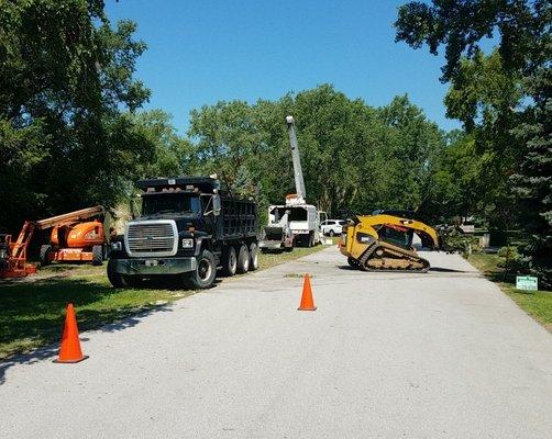 Crews loading trunk sections of a 70' cottonwood