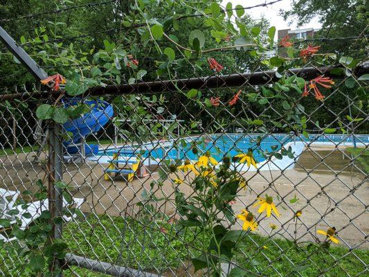 Butterfly and hummingbird Gardens at Parkland Pool