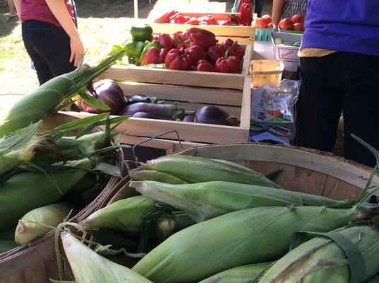 Fresh local vegetables