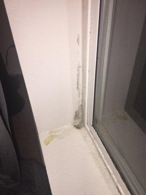 Water damage due to the cracked window sill, and of course.. more black Mold