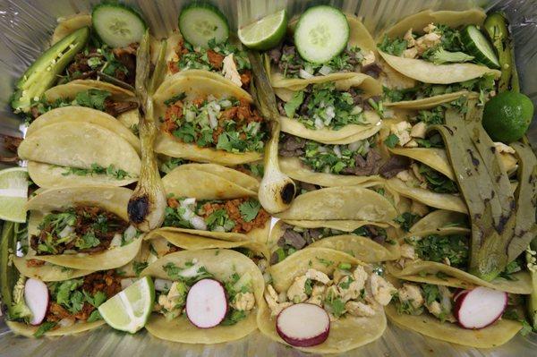 Beef,  Pulled Pork,  Steak,  and Chicken Tacos