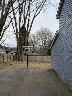 Trees were removed and pruned with expert precision and the property was left in meticulous condition