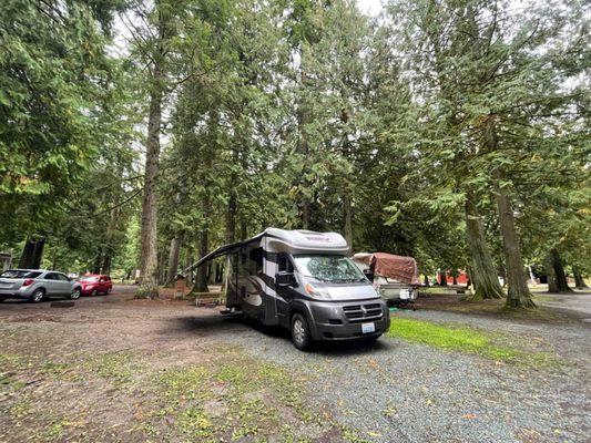 Customers picture of them boondocking in the woods without campground hookups as this Dynamax REV 24RB has 800 watts of solar on the roof.