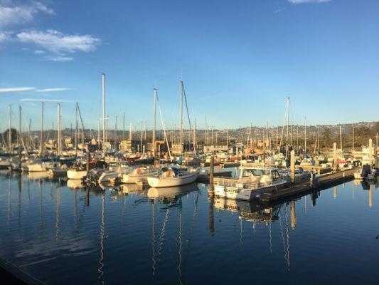 Berkeley Harbor