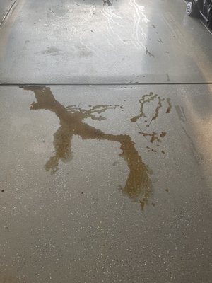 Oil leak in my garage.