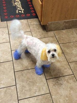 Tanner all colorful after a fun groom :)