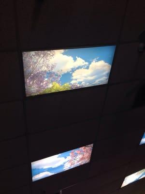 New ceiling tiles