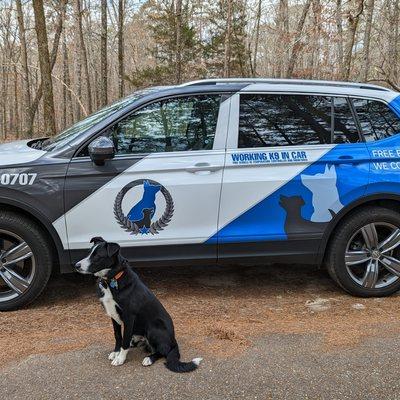 Dog Training Elite of Chattanooga new vehicle with "Kenobi"