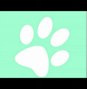 Green paw courier/delivery & dog walker services