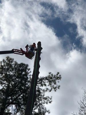 We have cranes to take down the biggest trees safely.