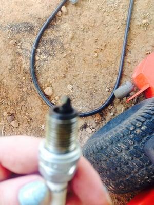 Old Spark plug!