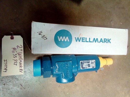 Wellmark Relief Valve