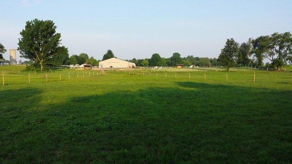 Large grass pastures surround the main paddocks.