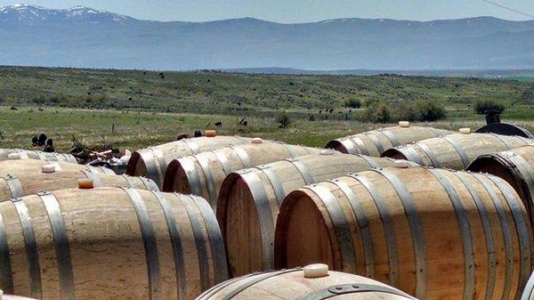 OAK Barrels in Keating Valley.