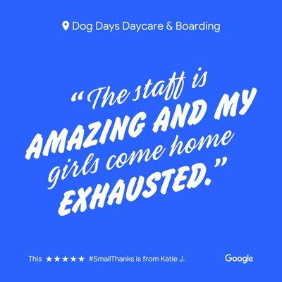 5 Star Review - Dog Days Daycare & Boarding 1752 Grand Ave, St Paul 55105