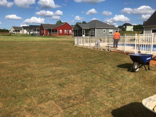 Bermuda sod installation