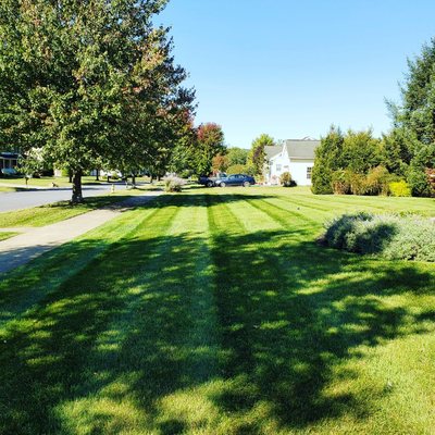 Beautiful lawn. Corner lots are my favorite