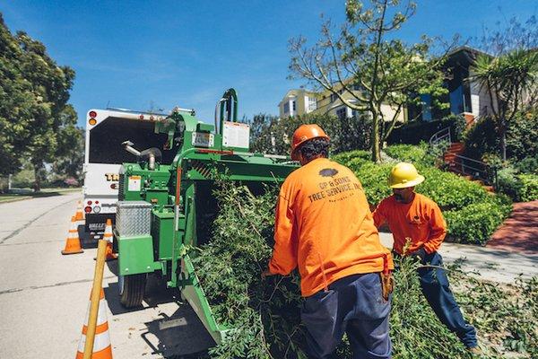 We give back to the community through our arboriculture services.