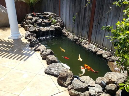 Side yard pond