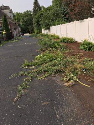 Weeding garden and mulch