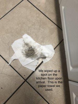 Paper towel that was used to wipe up stain on kitchen floor upon arrival