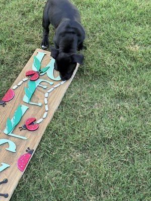 Welcome ladybug sign