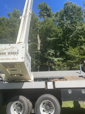 Craning part of the Ash tree over the house