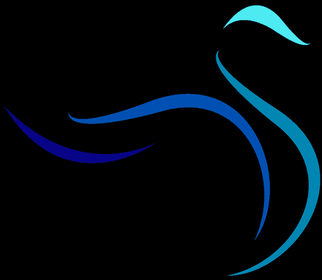 Blue Swan Strategies Digital Marketing