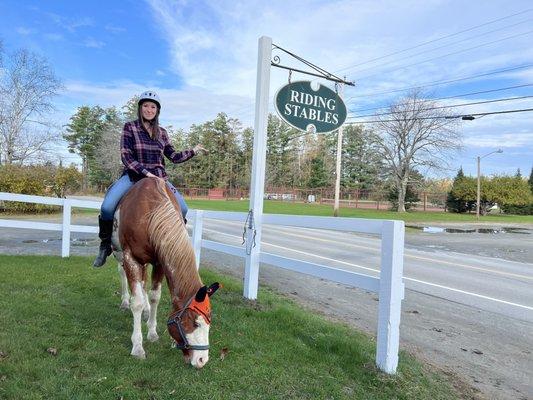 Jessica and Simon from Franconia Notch Stables