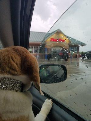 Everyone loves the Saukville Kwik Trip!