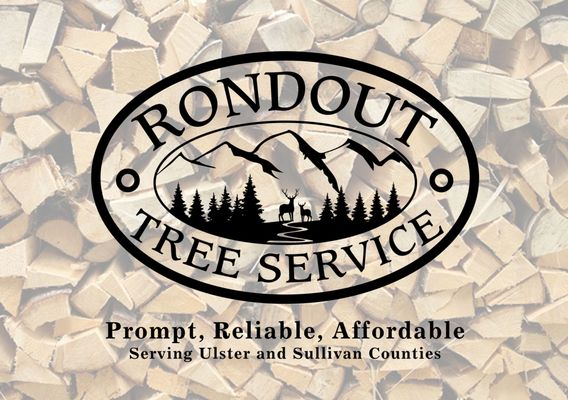 Rondout Tree Service