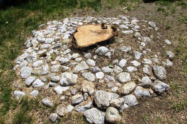 Stump in front yard