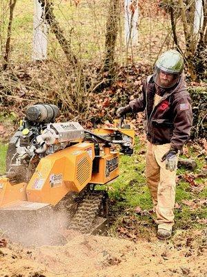 New View Stump Grinding