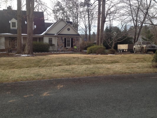 Lawn that was in desperate need of a lawn renovation.