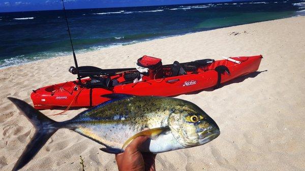 Hobie Odyssey Tandem Kayak in action. Stan at Windward Boats is the man!