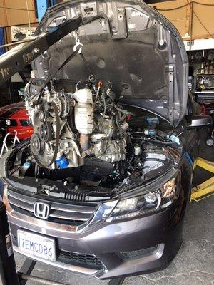 2015 Honda Accord replacing engine