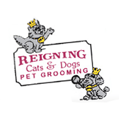 Reigning Cats & Dogs Pet Grooming