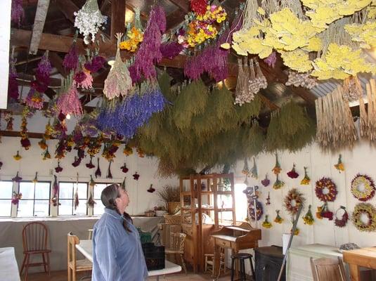 dried flowers in the workshop.