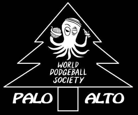 http://dodgeball4ever.com/balls/palo-alto-home