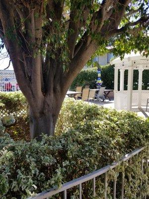 Lovely view of the front patio with different areas to relax.