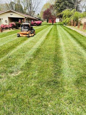 Cut N Dry Landscaping