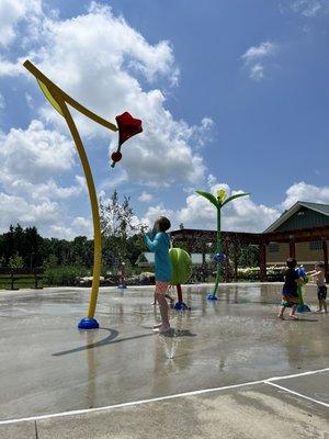 Splash pad