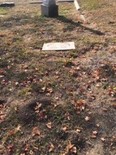 This is what the grounds look like at Santa Cruz Memorial around my moms grave. You can see this area looks like a field. Not kept up...