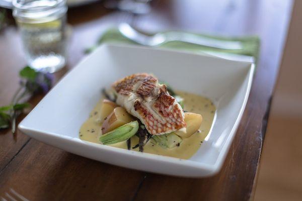 Pan seared Opakapaka, pickled potatoes, bok choy, creamy mustard sauce