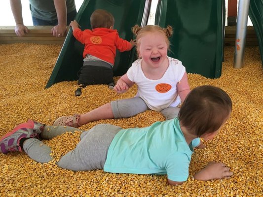 Field trip to the Pumpkin Patch